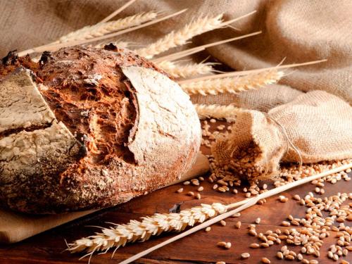 Image BrotundAehren3 web